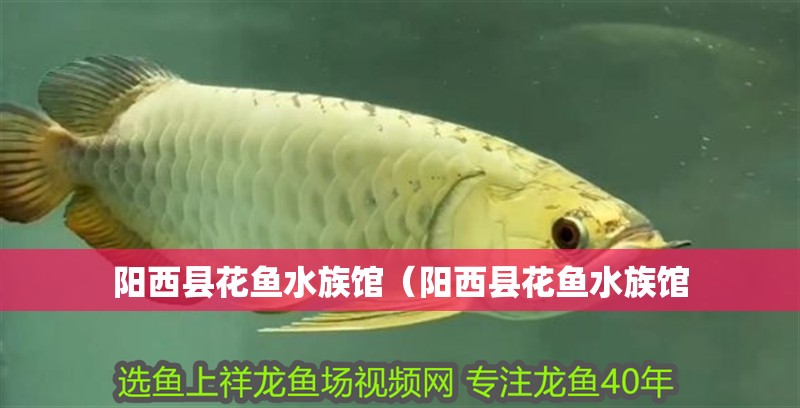 陽西縣花魚水族館（陽西縣花魚水族館 陽西縣花魚水族館（陽西縣花魚水族館 全國水族館企業名錄 第2張