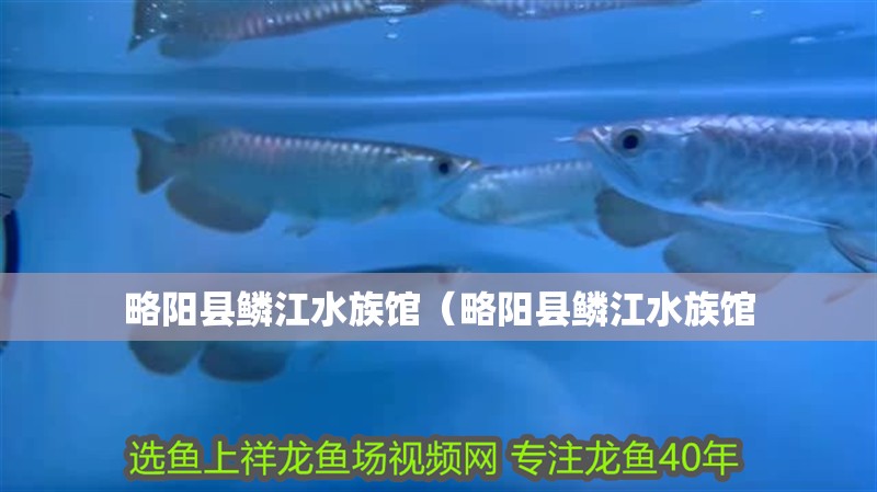 略陽縣鱗江水族館（略陽縣鱗江水族館