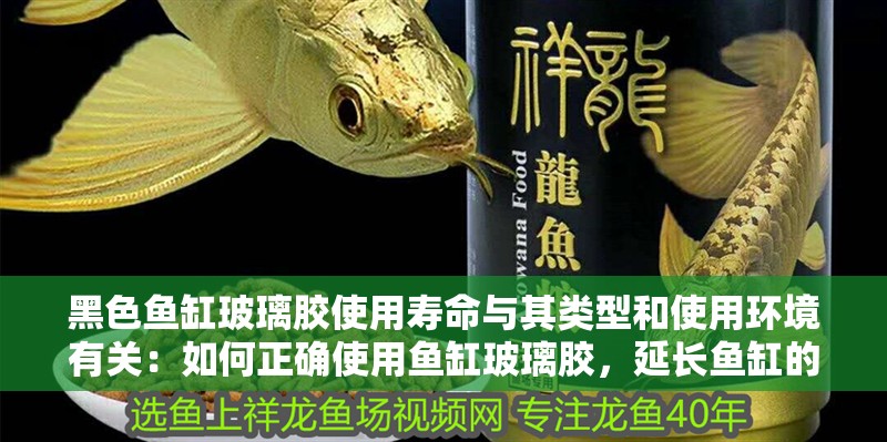 龍魚干蝦有營養嗎 黑色魚缸玻璃膠使用壽命與其類型和使用環境有關:如何正確使用魚缸玻璃膠,延長魚缸的使用壽命 魚缸百科 黑色魚缸玻璃膠使用壽命與其類型和使用環境有關:如何正確使用魚缸玻璃膠,延長魚缸的使用壽命 黑色魚缸玻璃膠使用壽命與其類型和使用環境有關:如何正確使用魚缸玻璃膠,延長魚缸的使用壽命 魚缸百科