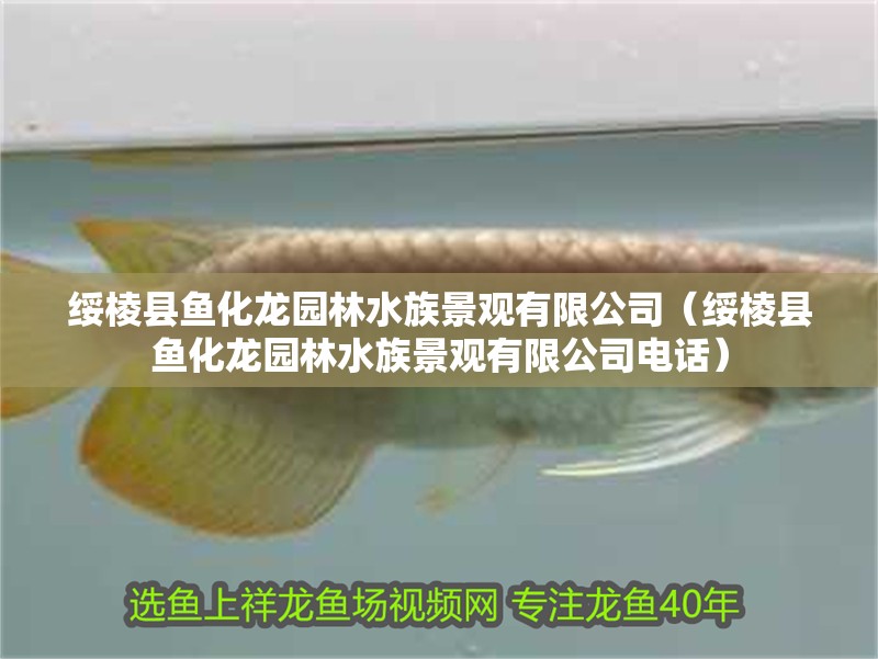 綏棱縣魚化龍園林水族景觀有限公司（綏棱縣魚化龍園林水族景觀有限公司電話）
