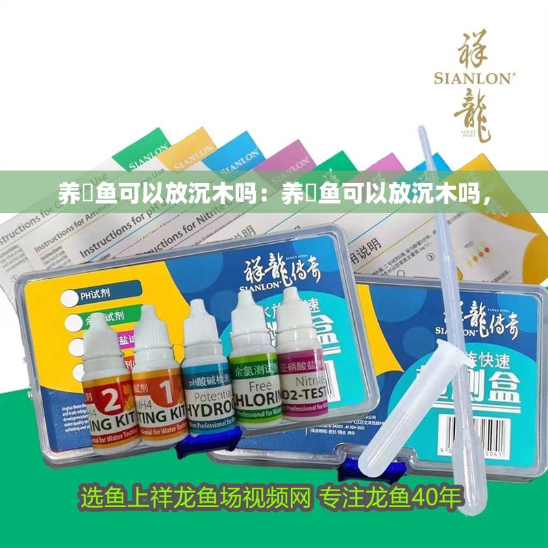 養(yǎng)魟魚可以放沉木嗎：養(yǎng)魟魚可以放沉木嗎，