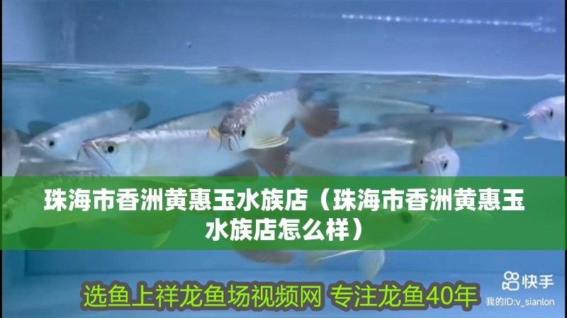 珠海市香洲黃惠玉水族店（珠海市香洲黃惠玉水族店怎么樣） 珠海市香洲黃惠玉水族店（珠海市香洲黃惠玉水族店怎么樣） 全國水族館企業名錄 第2張