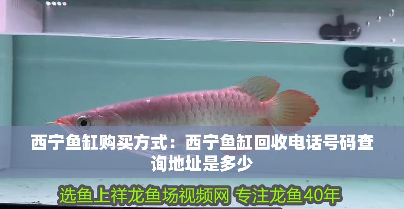 西寧魚缸購買方式：西寧魚缸回收電話號碼查詢地址是多少