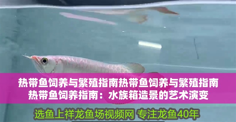 熱帶魚飼養與繁殖指南熱帶魚飼養與繁殖指南熱帶魚飼養指南：水族箱造景的藝術演變