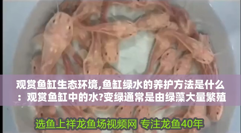 觀賞魚缸生態環境,魚缸綠水的養護方法是什么：觀賞魚缸中的水?變綠通常是由綠藻大量繁殖所致