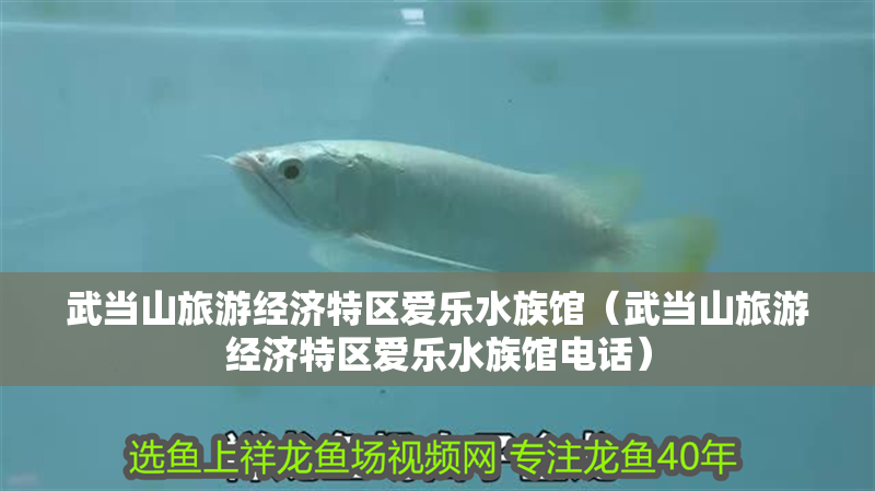 武當山旅游經濟特區愛樂水族館（武當山旅游經濟特區愛樂水族館電話）