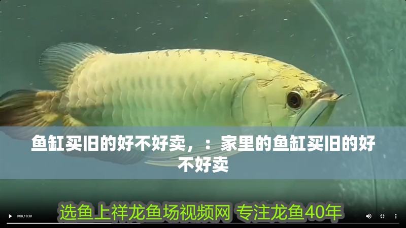 魚缸買舊的好不好賣，：家里的魚缸買舊的好不好賣