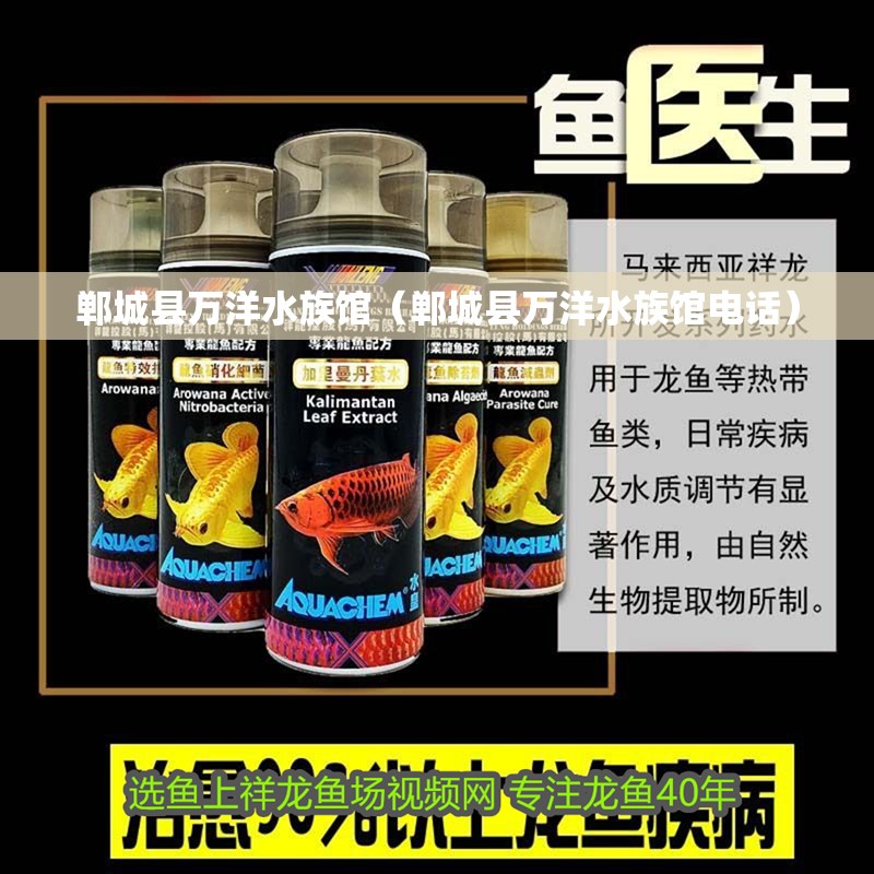 鄲城縣萬洋水族館（鄲城縣萬洋水族館電話）