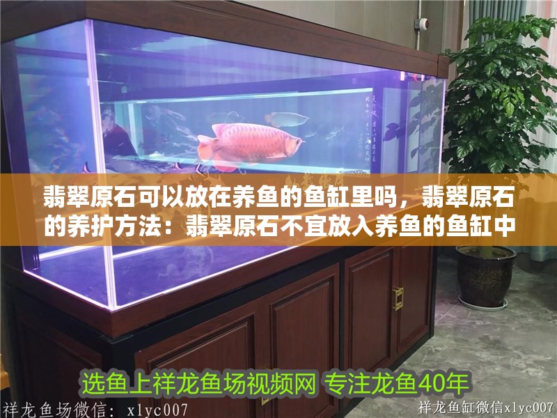 翡翠原石可以放在養(yǎng)魚的魚缸里嗎，翡翠原石的養(yǎng)護方法：翡翠原石不宜放入養(yǎng)魚的魚缸中