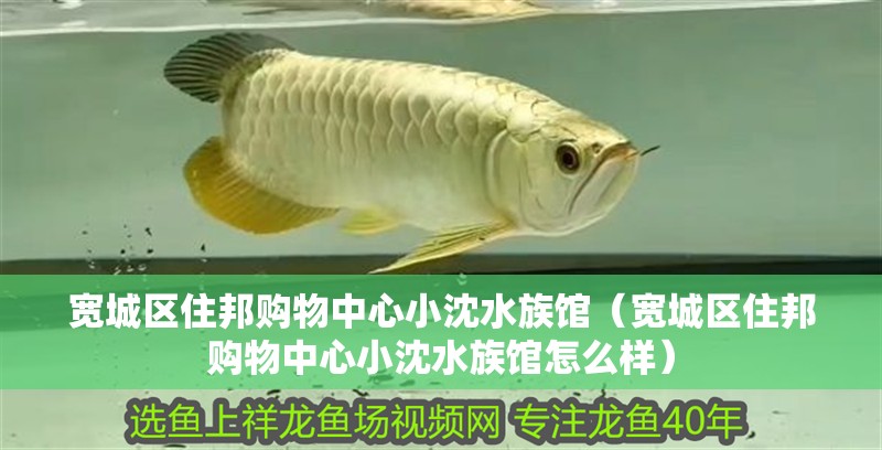 寬城區住邦購物中心小沈水族館（寬城區住邦購物中心小沈水族館怎么樣） 寬城區住邦購物中心小沈水族館（寬城區住邦購物中心小沈水族館怎么樣） 全國水族館企業名錄 第2張