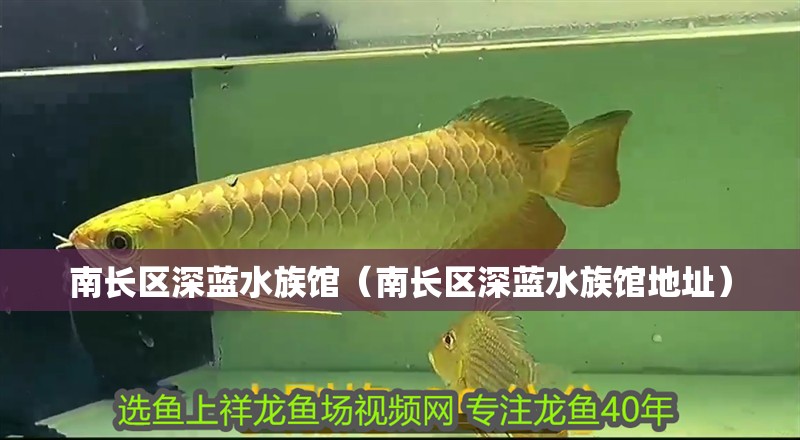 南長區(qū)深藍水族館（南長區(qū)深藍水族館地址）