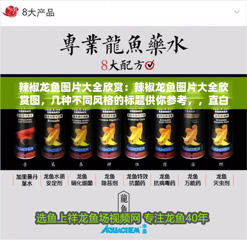 辣椒龍魚(yú)圖片大全欣賞：辣椒龍魚(yú)圖片大全欣賞圖，幾種不同風(fēng)格的標(biāo)題供你參考，，直白型，辣椒龍魚(yú)高清美圖大賞，文藝型，邂逅辣椒龍魚(yú)的絕美風(fēng)姿——圖片集錦，吸睛型，震撼！辣椒龍魚(yú)驚艷圖片全收錄