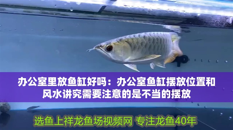 辦公室里放魚缸好嗎：辦公室魚缸擺放位置和風水講究需要注意的是不當的擺放 辦公室里放魚缸好嗎：辦公室魚缸擺放位置和風水講究需要注意的是不當的擺放 魚缸百科