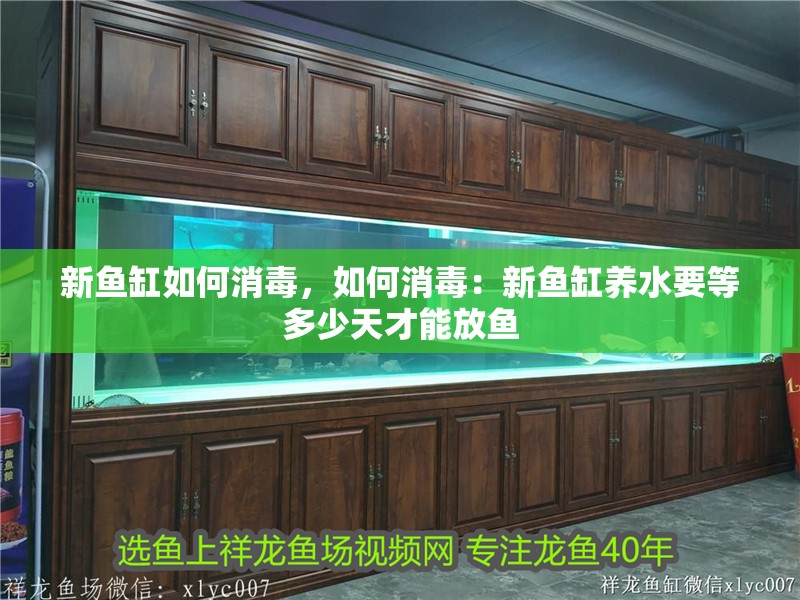 新魚缸如何消毒，如何消毒：新魚缸養水要等多少天才能放魚