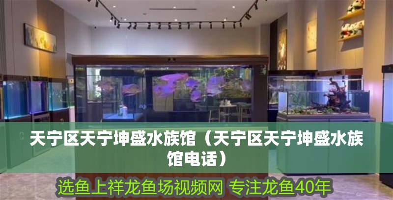 天寧區天寧坤盛水族館（天寧區天寧坤盛水族館電話） 天寧區天寧坤盛水族館（天寧區天寧坤盛水族館電話） 全國水族館企業名錄 第2張