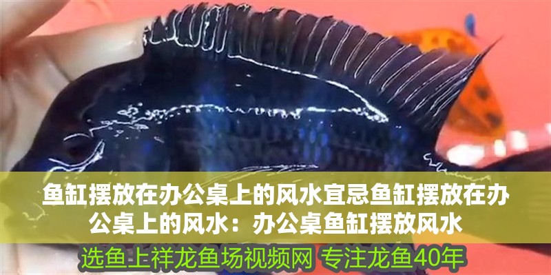 魚缸擺放在辦公桌上的風水宜忌魚缸擺放在辦公桌上的風水：辦公桌魚缸擺放風水 魚缸擺放在辦公桌上的風水宜忌魚缸擺放在辦公桌上的風水：辦公桌魚缸擺放風水 魚缸百科