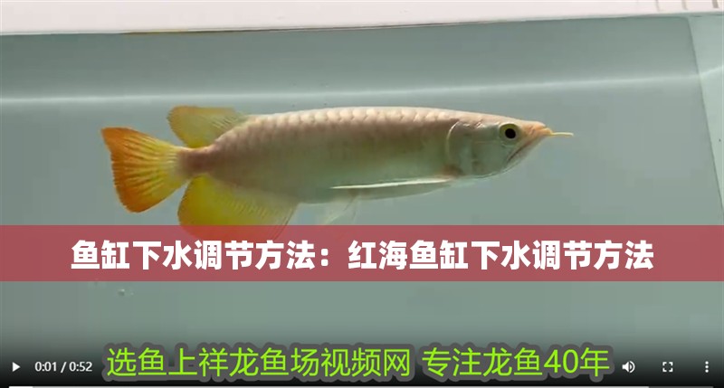 魚缸下水調節方法：紅海魚缸下水調節方法