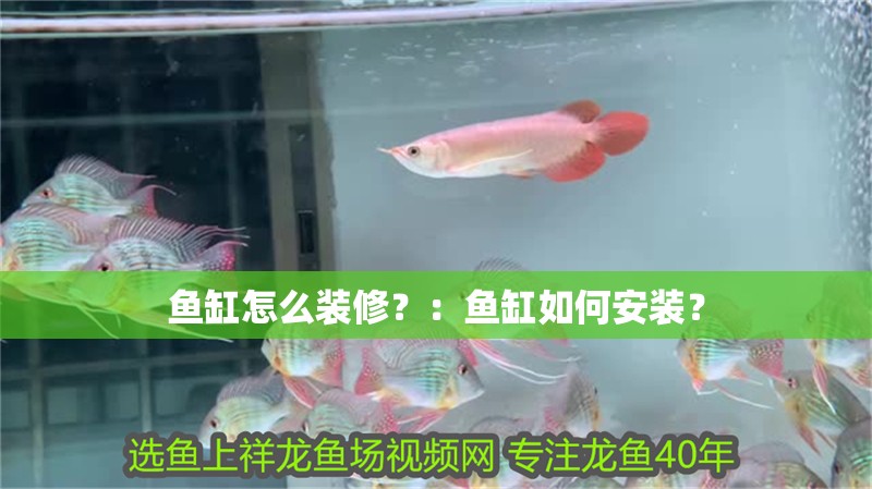 魚缸怎么裝修？：魚缸如何安裝？