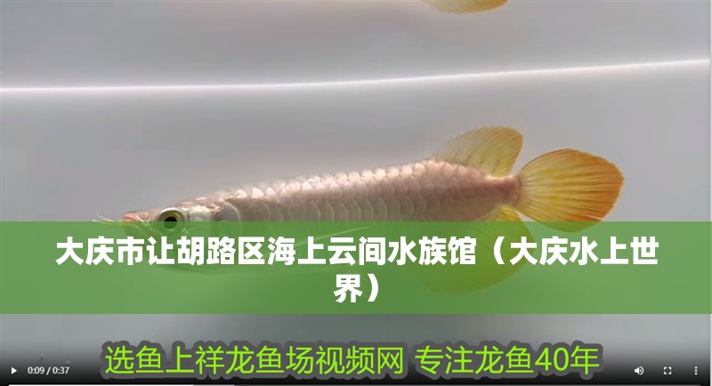 大慶市讓胡路區(qū)海上云間水族館（大慶水上世界）