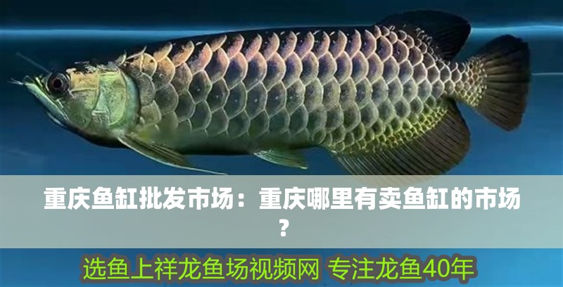 重慶魚缸批發市場：重慶哪里有賣魚缸的市場？ 重慶魚缸批發市場：重慶哪里有賣魚缸的市場？ 魚缸百科