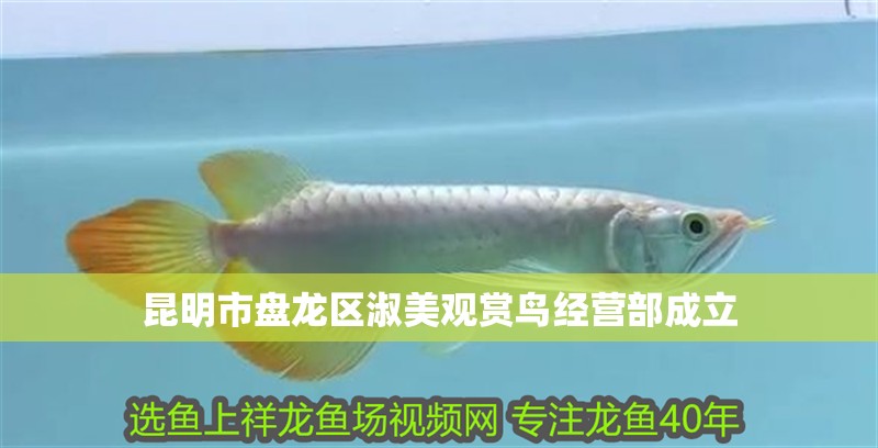 龍魚干蝦有營養嗎 昆明市盤龍區淑美觀賞鳥經營部成立 全國水族館企業名錄 昆明市盤龍區淑美觀賞鳥經營部成立 昆明市盤龍區淑美觀賞鳥經營部成立 全國水族館企業名錄