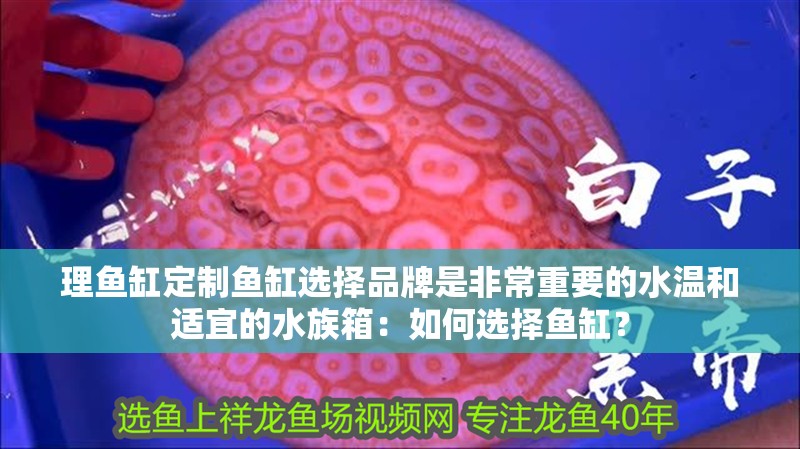 理魚缸定制魚缸選擇品牌是非常重要的水溫和適宜的水族箱：如何選擇魚缸？ 理魚缸定制魚缸選擇品牌是非常重要的水溫和適宜的水族箱：如何選擇魚缸？ 魚缸百科