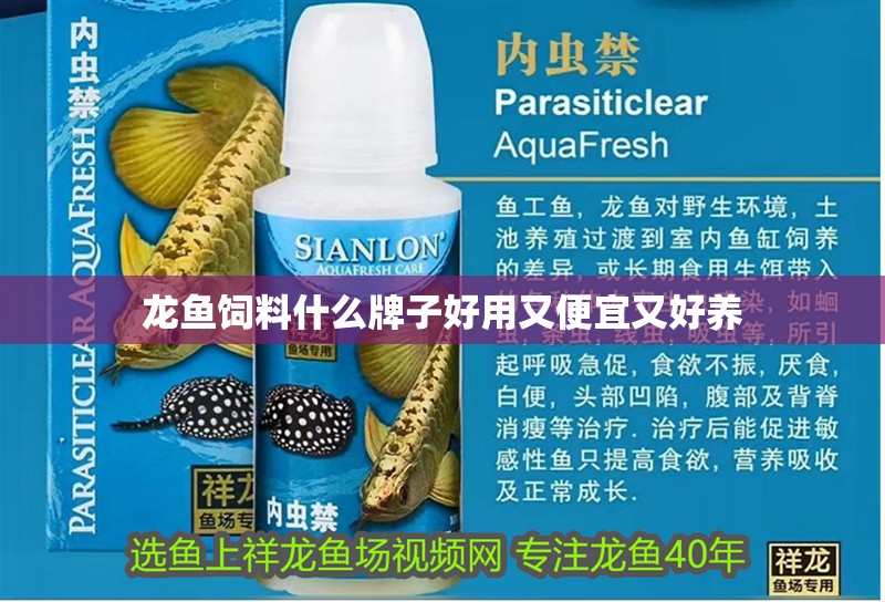 龍魚飼料什么牌子好用又便宜又好養