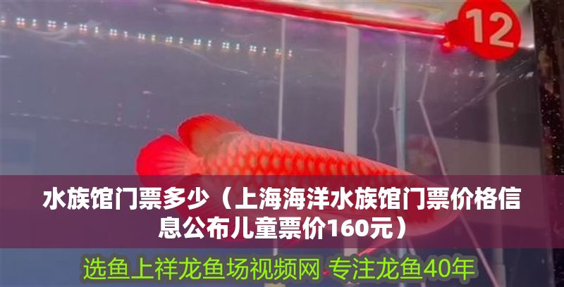 水族館門票多少(上海海洋水族館門票價格信息公布兒童票價160元) 水族館百科(水族館加盟) 第1張 水族館門票多少(上海海洋水族館門票價格信息公布兒童票價160元) 水族館門票多少(上海海洋水族館門票價格信息公布兒童票價160元) 水族館百科(水族館加盟) 第1張