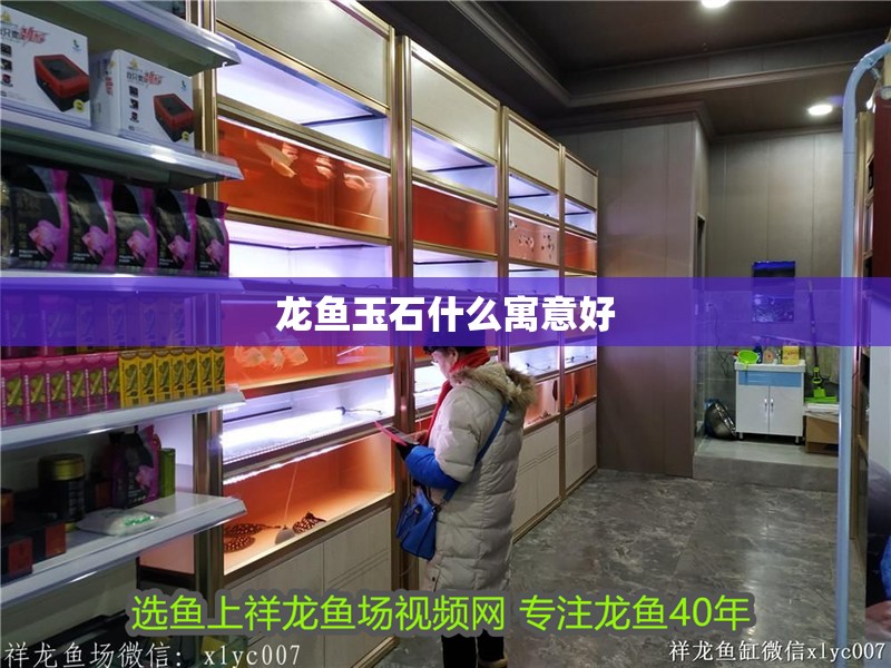 龍魚玉石什么寓意好 龍魚玉石什么寓意好 龍魚百科