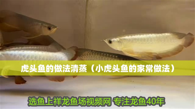虎頭魚的做法清蒸（小虎頭魚的家常做法）