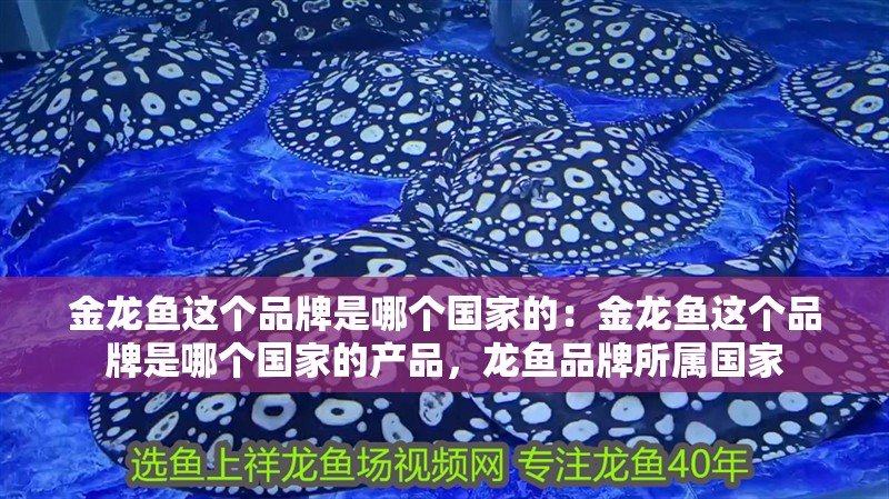 金龍魚這個品牌是哪個國家的：金龍魚這個品牌是哪個國家的產品，龍魚品牌所屬國家