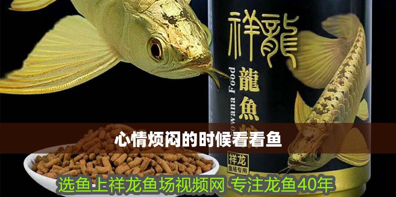 心情煩悶的時候看看魚