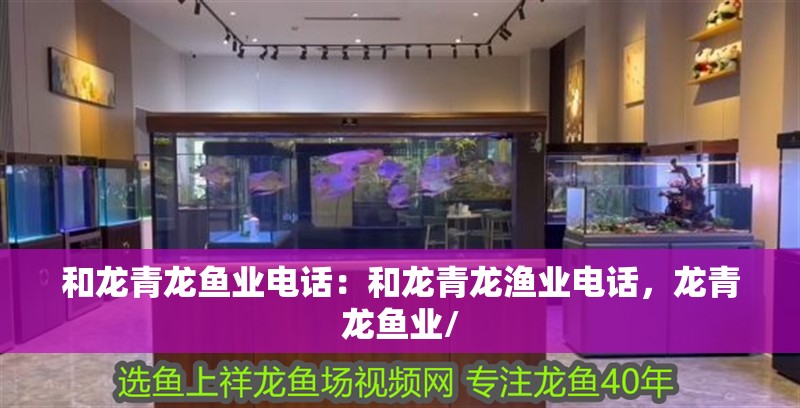和龍青龍魚業電話：和龍青龍漁業電話，龍青龍魚業/