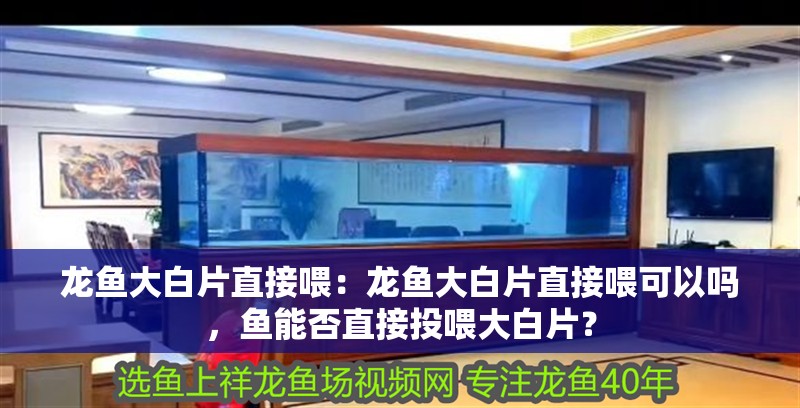 龍魚大白片直接喂:龍魚大白片直接喂可以嗎,魚能否直接投喂大白片? 水族問答 龍魚大白片直接喂:龍魚大白片直接喂可以嗎,魚能否直接投喂大白片? 龍魚大白片直接喂:龍魚大白片直接喂可以嗎,魚能否直接投喂大白片? 水族問答