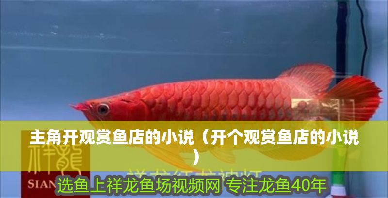 主角開觀賞魚店的小說（開個觀賞魚店的小說）