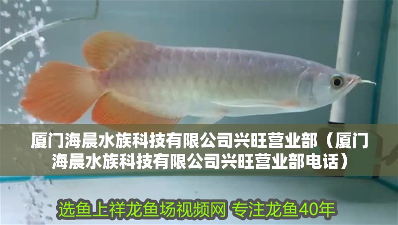 廈門海晨水族科技有限公司興旺營業部（廈門海晨水族科技有限公司興旺營業部電話） 廈門海晨水族科技有限公司興旺營業部（廈門海晨水族科技有限公司興旺營業部電話） 全國水族館企業名錄 第2張