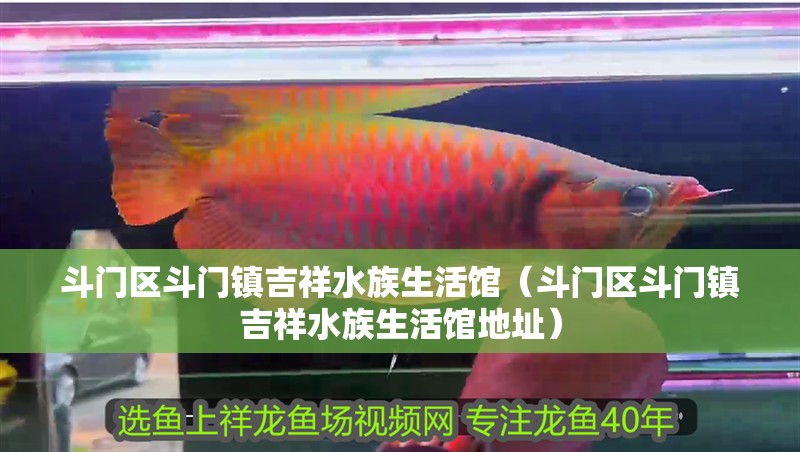 斗門區斗門鎮吉祥水族生活館（斗門區斗門鎮吉祥水族生活館地址）
