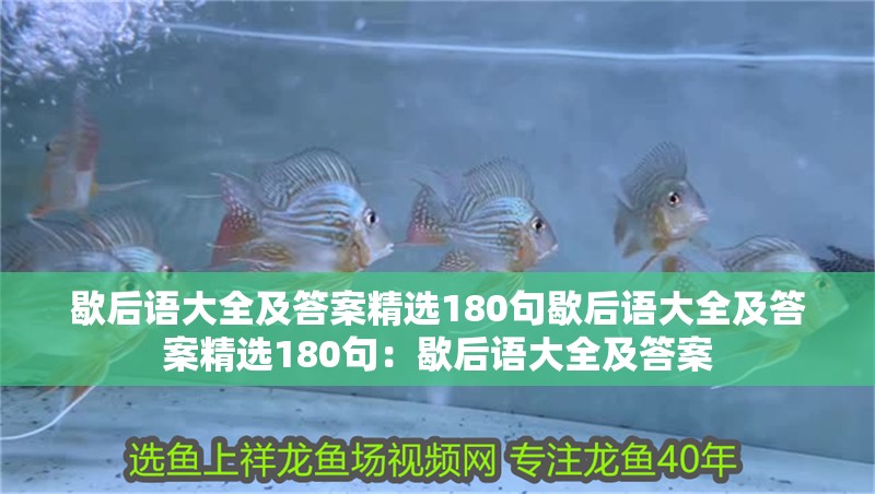 歇后語大全及答案精選180句歇后語大全及答案精選180句：歇后語大全及答案 歇后語大全及答案精選180句歇后語大全及答案精選180句：歇后語大全及答案 魚缸百科