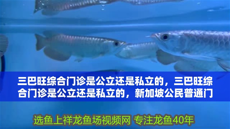 三巴旺綜合門診是公立還是私立的，三巴旺綜合門診是公立還是私立的，新加坡公民普通門診僅需12新元 三巴旺綜合門診是公立還是私立的，三巴旺綜合門診是公立還是私立的，新加坡公民普通門診僅需12新元 龍魚論壇