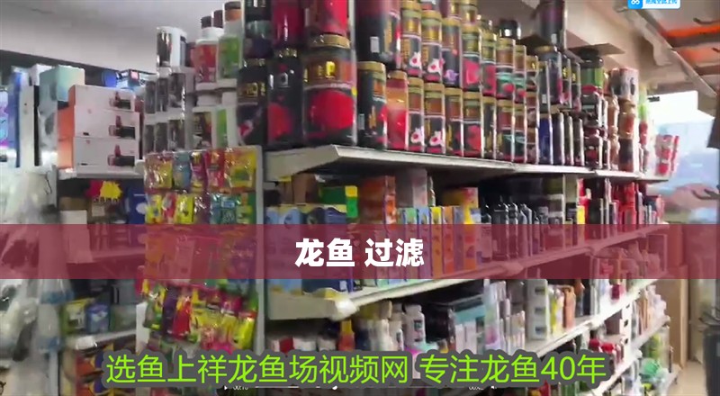 龍魚 過濾