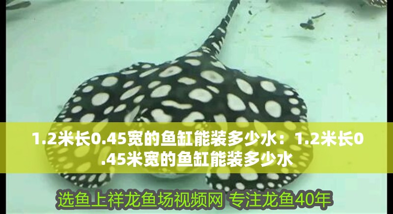 新到家的小虎魚 1.2米長0.45寬的魚缸能裝多少水:1.2米長0.45米寬的魚缸能裝多少水 魚缸百科 1.2米長0.45寬的魚缸能裝多少水:1.2米長0.45米寬的魚缸能裝多少水 1.2米長0.45寬的魚缸能裝多少水:1.2米長0.45米寬的魚缸能裝多少水 魚缸百科