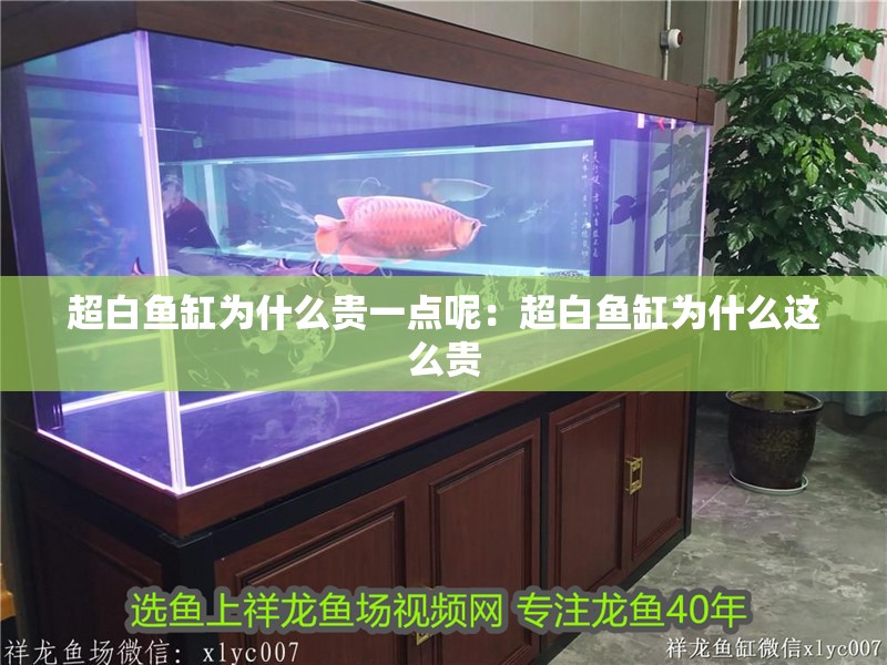 超白魚缸為什么貴一點呢：超白魚缸為什么這么貴
