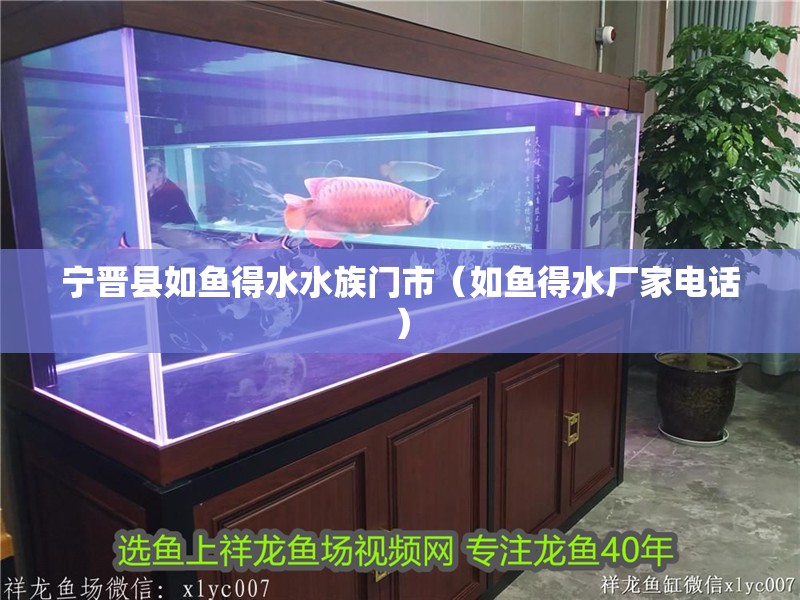 寧晉縣如魚得水水族門市（如魚得水廠家電話）