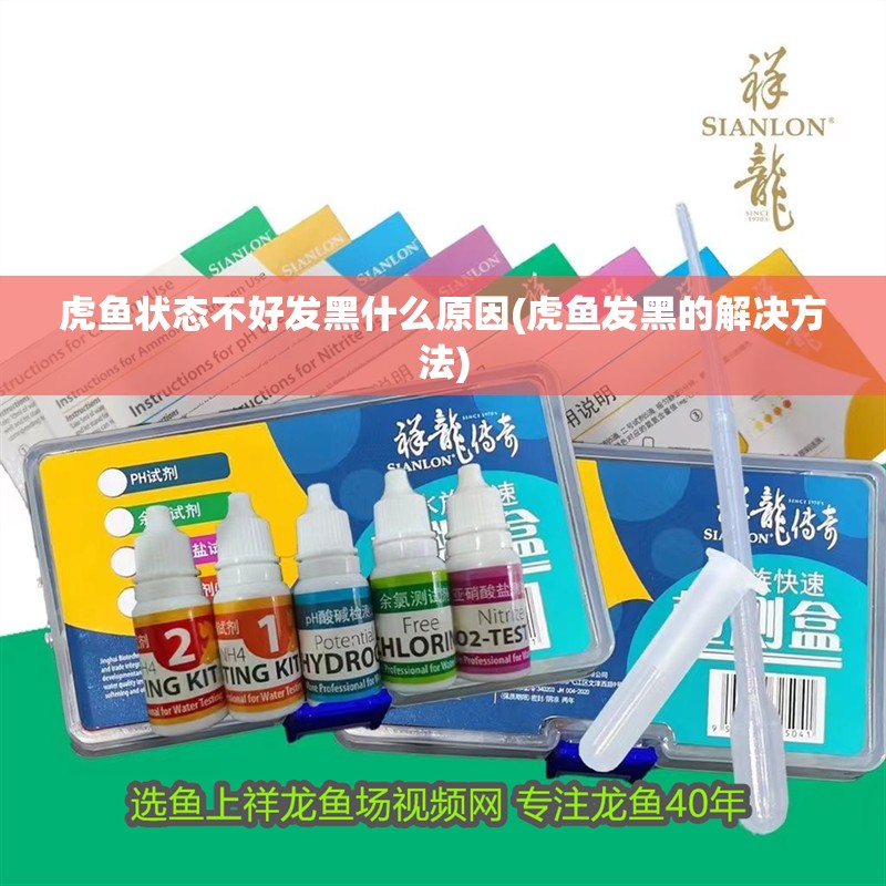 虎魚狀態(tài)不好發(fā)黑什么原因(虎魚發(fā)黑的解決方法)