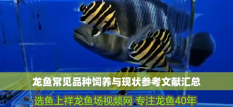 龍魚常見品種飼養與現狀參考文獻匯總