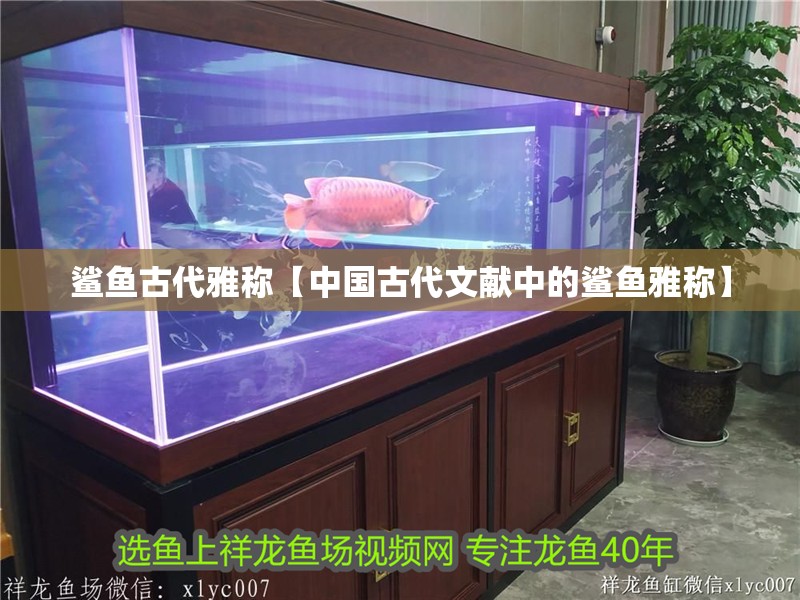 鯊魚古代雅稱【中國古代文獻中的鯊魚雅稱】