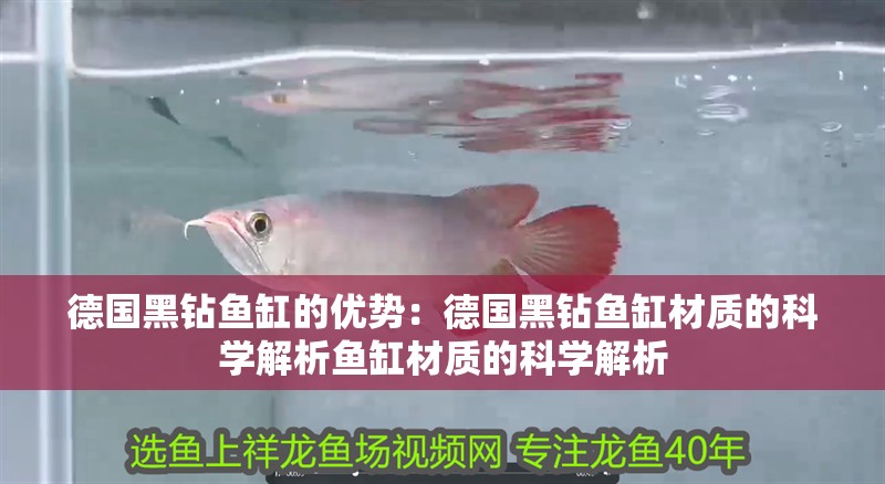 德國黑鉆魚缸的優勢：德國黑鉆魚缸材質的科學解析魚缸材質的科學解析