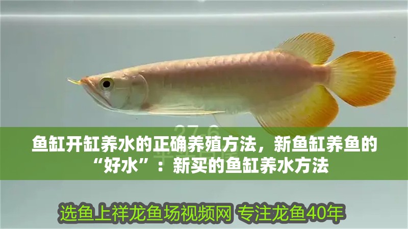 魚缸開缸養水的正確養殖方法，新魚缸養魚的“好水”：新買的魚缸養水方法