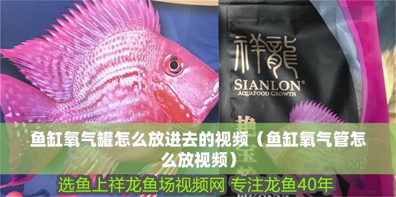魚缸氧氣罐怎么放進去的視頻（魚缸氧氣管怎么放視頻）