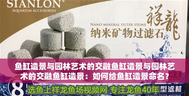 魚(yú)缸造景與園林藝術(shù)的交融魚(yú)缸造景與園林藝術(shù)的交融魚(yú)缸造景：如何給魚(yú)缸造景命名？
